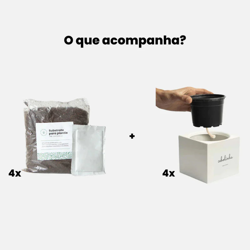 Kit Plantio Completo Minha Horta Autoirrigável