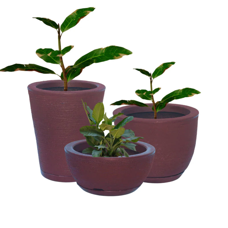 Kit com 3 Vasos Decorativos de Polietileno para Plantas