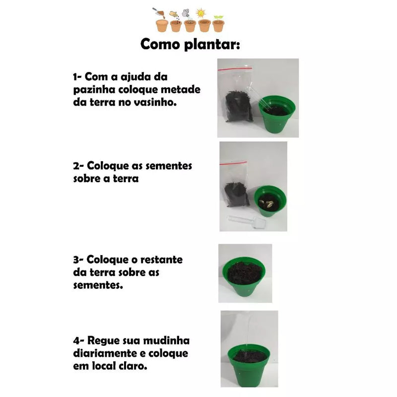 Kit Mini Plantio Ecológico